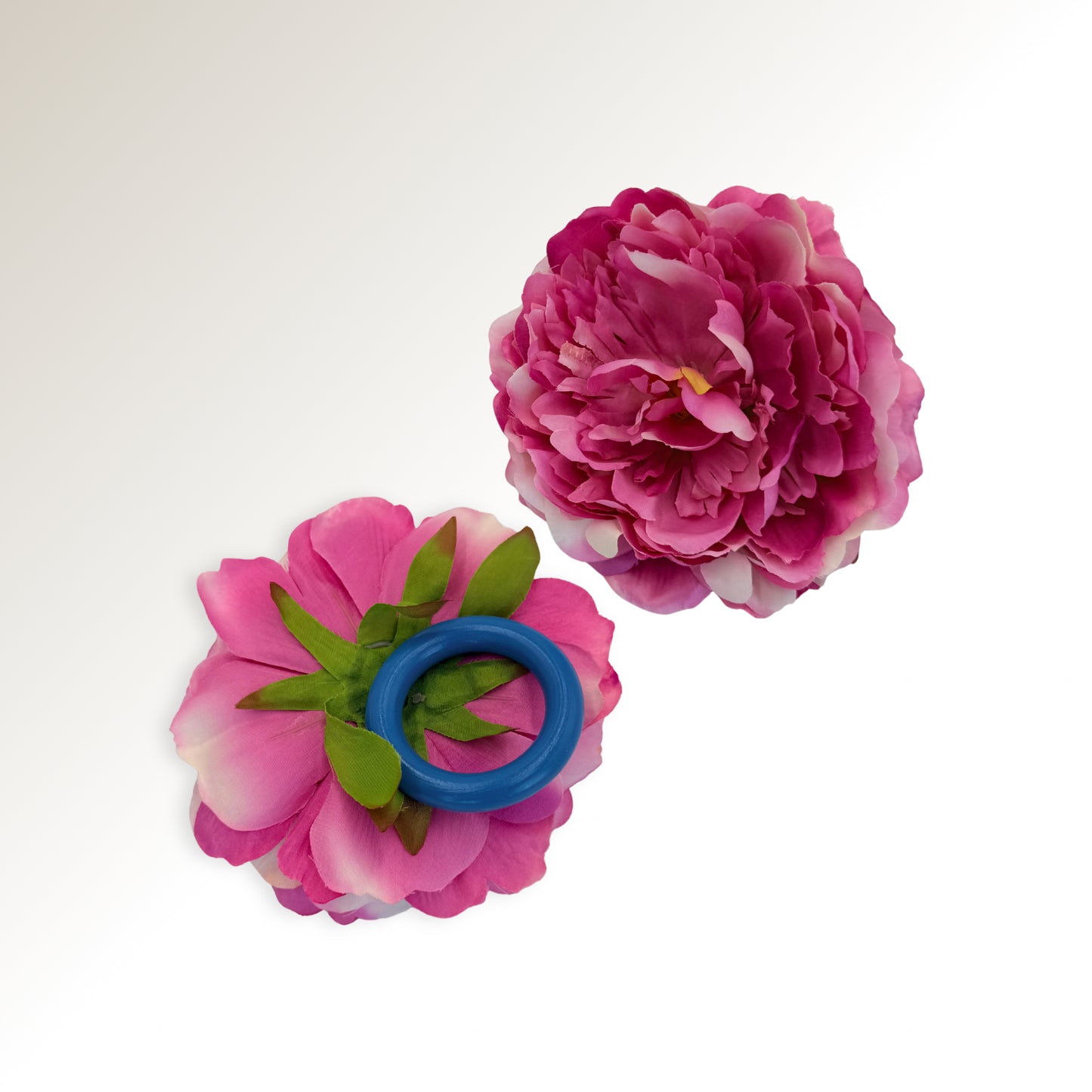 The bloom ring..
